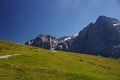 24h Hike Mammut_Ochsner 'Grosse Scheidegg _ Schwarzhorn 2927m' 18_08_2012 (59)